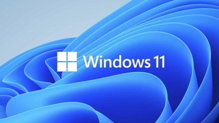 Windows 11 pro